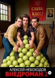 Внедроман 2