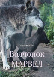 Волчонок МАРВЕЛ