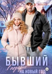 Бывший в подарок на Новый год