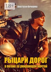 Рыцари дорог. В погоне за умирающей мечтой