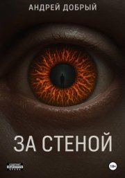 За стеной