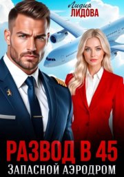 Развод в 45. Запасной аэродром