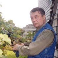 Вячеслав Морочко