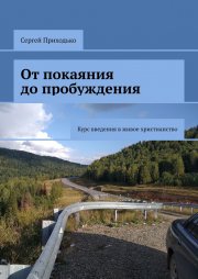 От покаяния до пробуждения. Курс введения в живое христианство