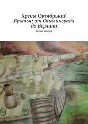 Братья: от Сталинграда до Берлина. Книга вторая