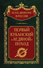 Онлайн-анал и реал-анал с деканом