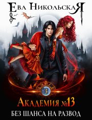 Академия №13. Без шанса на развод