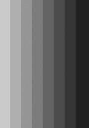 Хрома. Книга о цвете