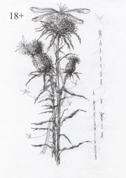 Мальчик и фея