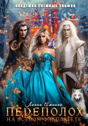 Переполох на боевом факультете. Академии снежных эльфов