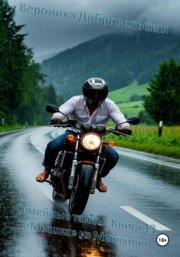 Семейные тайны. Книга 13. «Мышка» из Мышкина