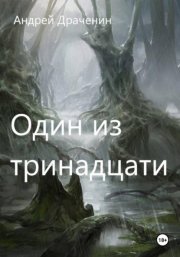 Один из тринадцати