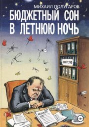 Бюджетный сон в летнюю ночь. Хроники оперативной реальности N-ского района