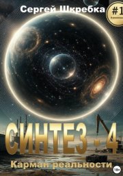 Синтез-4: Карман реальности