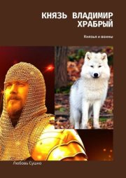 Князь Владимир Храбрый. Князья и воины