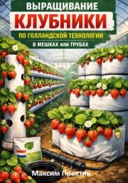 Выращивание клубники по голландской технологии в мешках или трубах