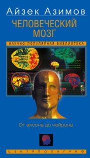 Человеческий мозг. От аксона до нейрона