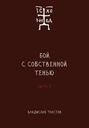 Бой с собственной тенью. Заметки православного воина (книга вторая)
