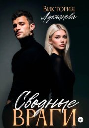 Сводные враги