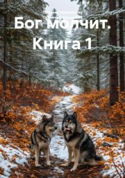 Бог молчит. Книга 1