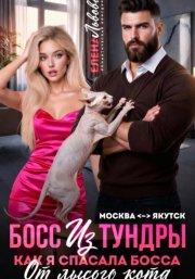 Босс из тундры. Как я спасала босса от лысого кота