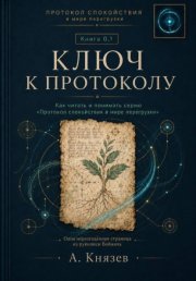 Ключ к протоколу спокойствия в мире перегрузки книга 0.1