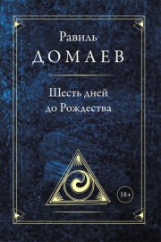 Шесть дней до Рождества