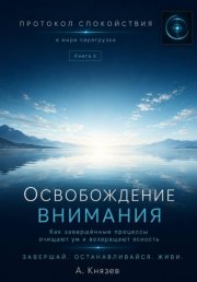 Протокол спокойствия в мире перегрузки 6