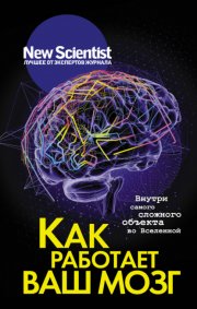 Как работает ваш мозг. Внутри самого сложного объекта во Вселенной