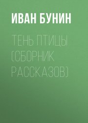 Тень птицы