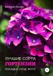 Гортензии. Лучшие сорта