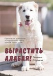 Посланник МИД. Книга пятая