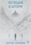 Летящий в шторм