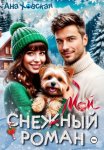 Мой снежный роман