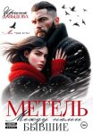 Бывшие. Между нами метель
