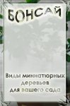 Виды миниатюрных деревьев для вашего сада